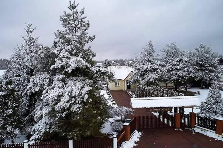 Agroturystyka Barycz 46 Konskie 外观 照片