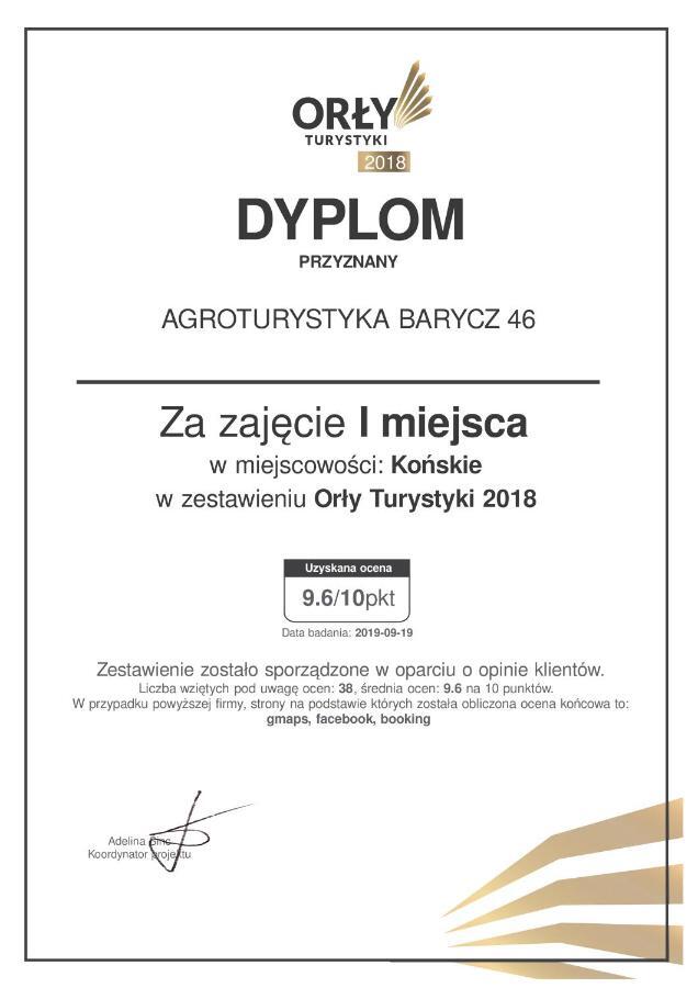 Agroturystyka Barycz 46 Konskie 外观 照片